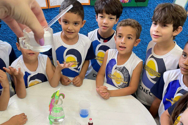 Viagem Encantada, Caldeirão da Cuca!