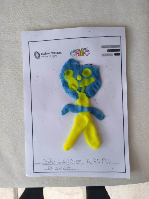 Cabeça, ombro, joelho e pé... 1º Ano Bilíngue construindo o corpo humano!