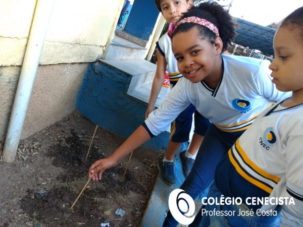 Aprendendo a preservar o meio ambiente plantando
