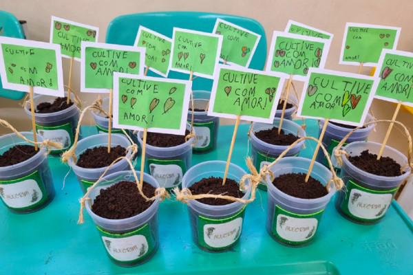 Conhecendo o Alecrim