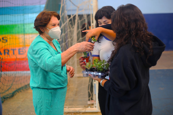 Dia Internacional da Mulher 2022