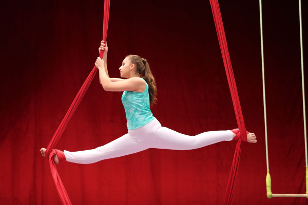 Atividades Extras 2020 - Ensino Fundamental 2