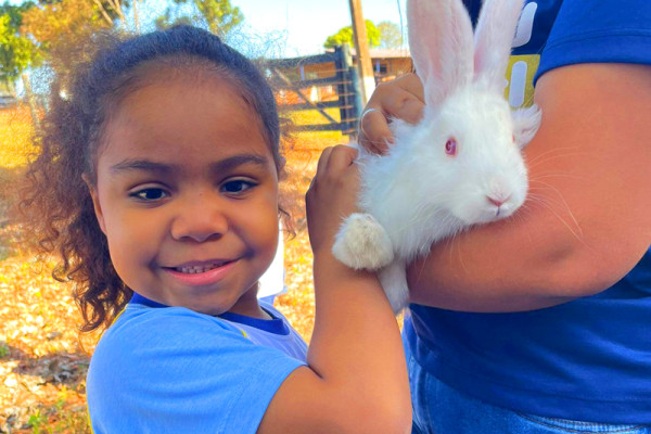 Descoberta dos Animais com a FAZU