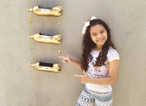 Literatura e Sustentabilidade