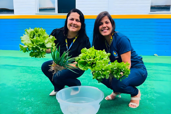 Projeto Horta na Escola