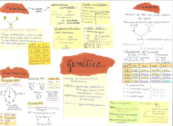 Produções do EM em Home Learning