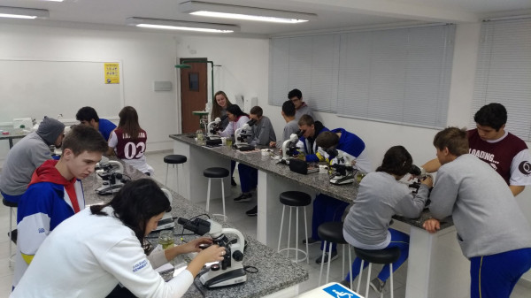 Aula prática de Biologia sobre Protozoários!