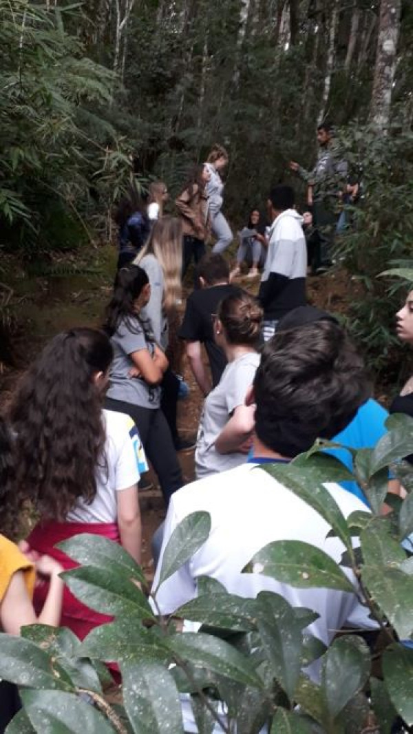 Projeto CNEC Cidadania 2019