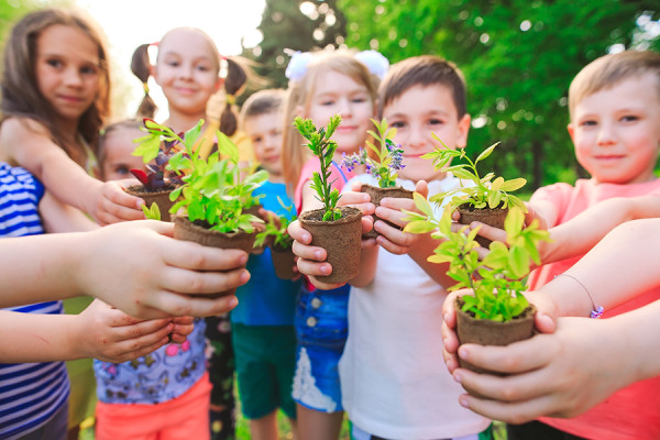 Cultivando Plantas e Flores na Escola